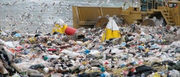 Переработка мусора из Москвы